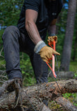 Nordic Pocket Saw Orange (Nordic Saw)
